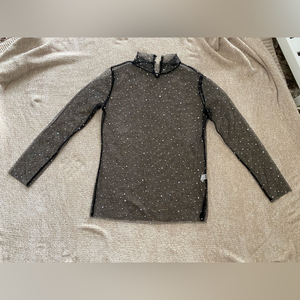 Sheer Sequin Long Sleeve Top